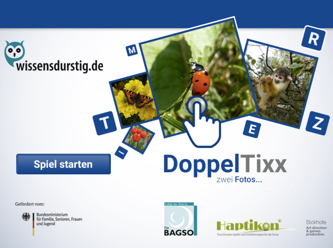 Dargestellt ist eine Grafik des Spiels DoppelTixx