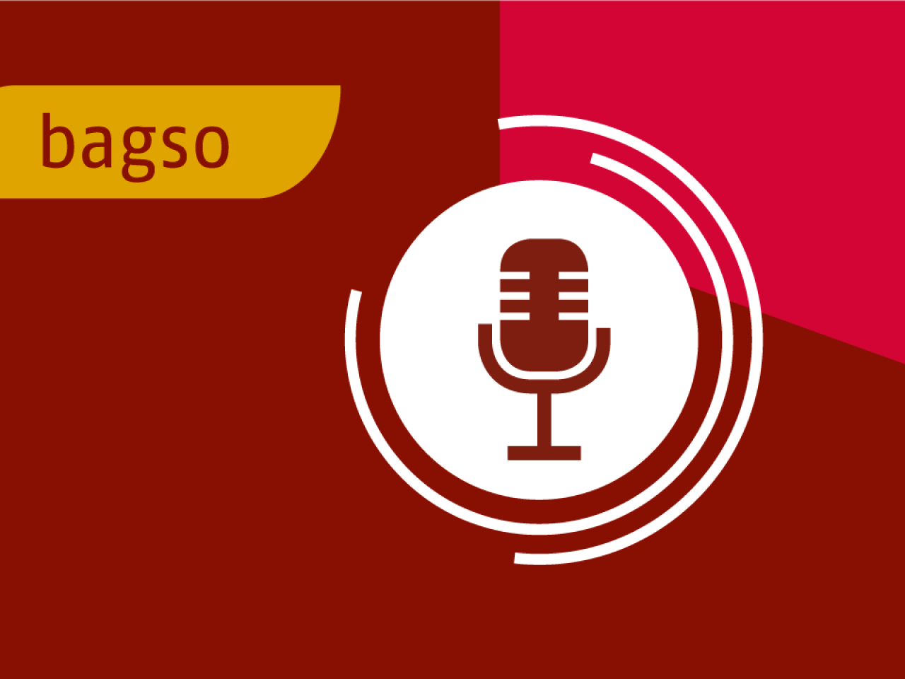 Bild BAGSO Podcast